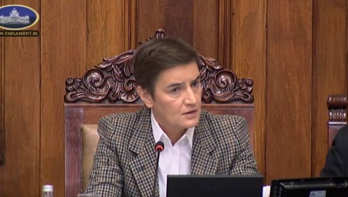 СЛЕДЕЋА РЕЗОЛУЦИЈА - ПЧЕЛЕ УБИЦЕ КОЈЕ НАПАДАЈУ САМО БЛОКАДЕРЕ Брнабић: ЕП ће данас потврдити да Србија има суперсонично оружје (ВИДЕО)