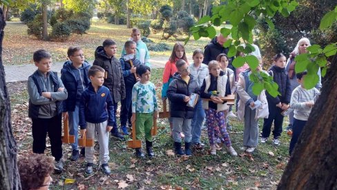 ОБУЧАВАЈУ МЛАДЕ ЗА ЗЕЛЕНИЈИ ГРАД: Покрет горана Вршац припрема децу за предстојећу садњу 15.000 младица