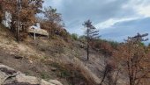 I DALJE VIDLJIVE POSLEDICE POŽARA: Šuma oko Staze zdravlja na Vršačkim planinama čeka obnovu