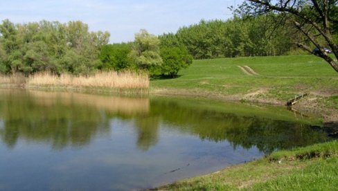 ВОЈНА ВЕЖБА СА НАЛЕТИМА АВИЈАЦИЈЕ У ОКОЛИНИ ЧЕНТЕ: Од уторка 14. до 16. октобра