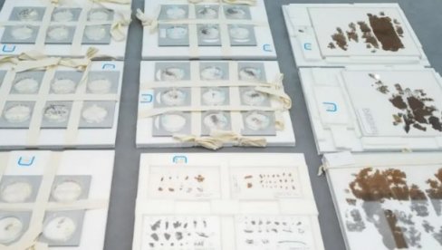 KINI VRAĆENO ISTORIJSKO BLAGO: Ispravljena nepravda nakon 79 godina