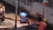 ANAKONDA DUGA PET METARA PRESTRAVILA KUPAČE NA PLAŽI: Pozvani vojni vatrogasci da je uklone