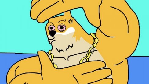 ИЛОН МАСК И ДАЉЕ СМАТРА ДА ЈЕ DOGE КРАЉ: Овај нови „набуђени“ пас показује праву снагу и енергију