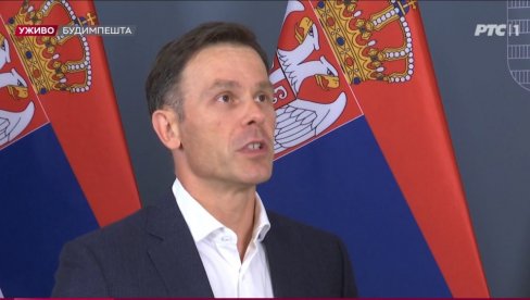 МИНИСТАР О ОДЛУЦИ ЕУ КОЈА ПОГАЂА СРБИЈУ Синиша Мали: Дуго знам председника и овако забринутог га скоро видео нисам