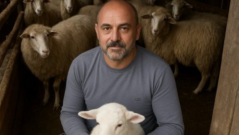 PROJEKAT ZA OČUVANJE GOTOVO NESTALE RASE OVACA KARAKTERISTIČNE ZA STARU PLANINU   I Valjevci čuvaju pirotsku pramenku