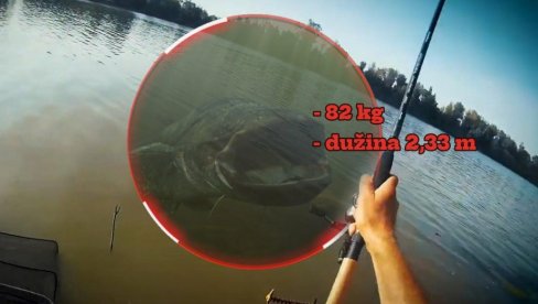 Sale ulovio GRDOSIJU od 82 kg - riba duga preko 2 metra: Velika borba na Tisi! (FOTO)
