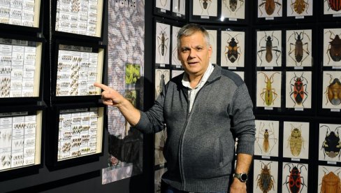 NEVIDLJIVA, A MOĆNA ARMIJA: Ako volite prirodu, ovu izložbu morate obavezno da pogledate (FOTO)