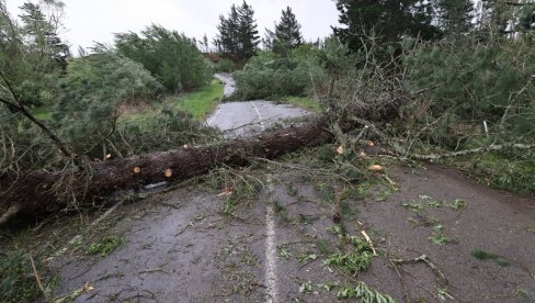 VETAR OBARAO KAMIONE I ČUPAO STABLA: Razorna oluja zahvatila ovaj deo sveta