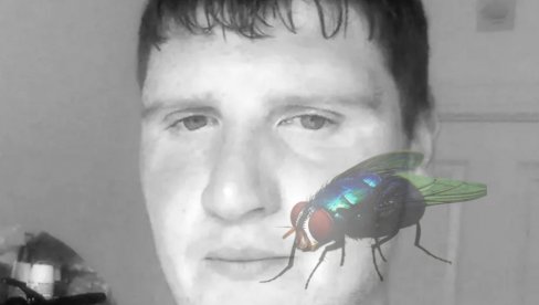 Радник на фарми умро након уједа муве