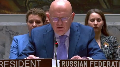 ШМИТ ПОНИЖЕН У СБ УН: Није могао да говори, Руси и Кинези очитали буквицу Немцу