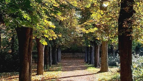 ЈЕСЕН КРОЗ ОБЈЕКТИВ МЛАДИХ: Дом омладине Вршац расписао фото-конкурс