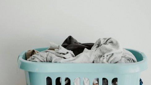 СТАНОВНИЦИ ДОЖИВЕЛИ ИЗНЕНАЂЕЊЕ КОЈЕ НЕЋЕ ЗАБОРАВИТИ: У корпи за веш пронашли најотровнију животињу на свету (ФОТО)