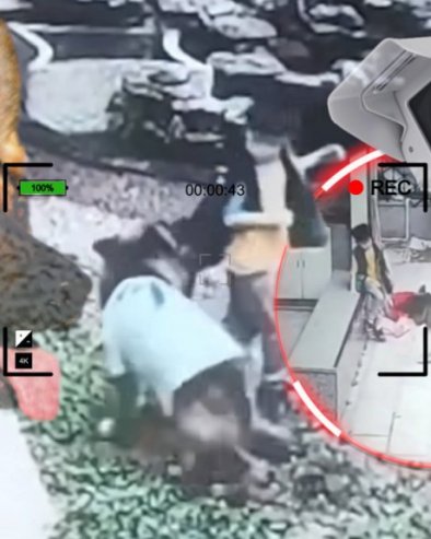 ZAR JE MOGUĆE DA JE TO URADIO? Imali su vučjaka, a onda su videli snimak sa sigurnosne kamere (VIDEO)