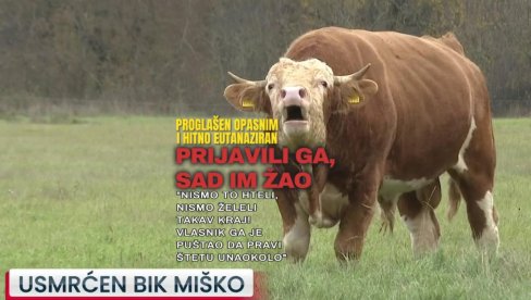 USMRĆEN BIK MIŠKO: Vlasnik ga puštao da pravi štetu u Gračacu - prijavili ga, sad im žao (VIDEO)