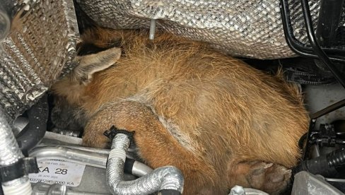 ЗАСВЕТЛЕЛА ЛАМПИЦА ЗА КВАР МОТОРА: Нећете веровати ШТА је нашао под хаубом (ФОТО)