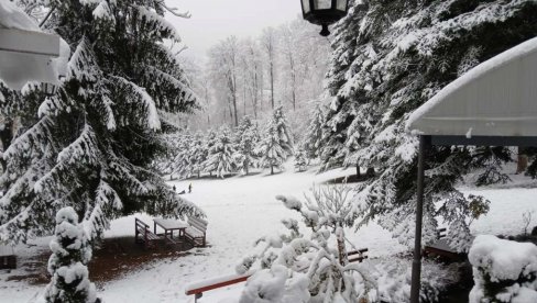 SNEG NA GUČEVU: Idila na sve strane