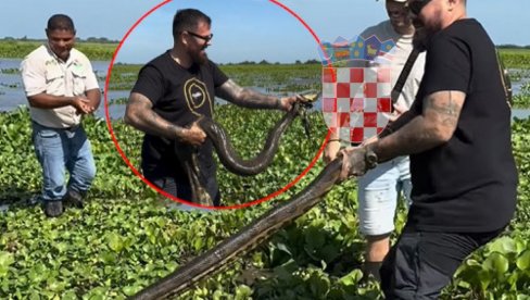 Хрват ДОБИО ШУТ-КАРТУ због тога ШТА ЈЕ УРАДИО анаконди, па се огласио: Свима је јасно да овде није реч о змији (ВИДЕО)