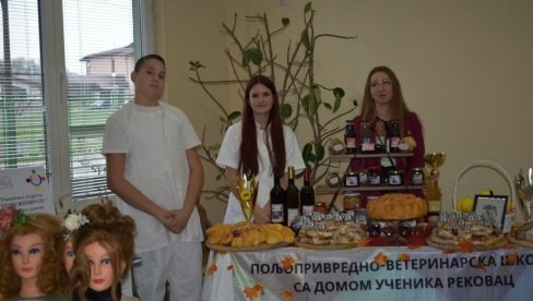 ОДЛУКА МИНИСТАРСТВА ПРОСВЕТЕ: За 15 ученичких задруга у средњим школама 10 милиона динара