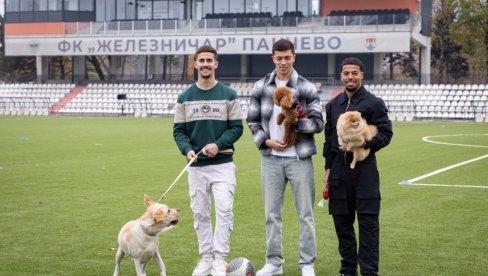 NAJLEPŠA SPORTSKA PRIČA DANA: Železničar nas podsetio na nešto doista važno - naše ljubimce (VIDEO/FOTO)