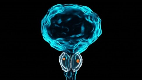 Може ли мушкарац да се сачува од проблема са простатом?