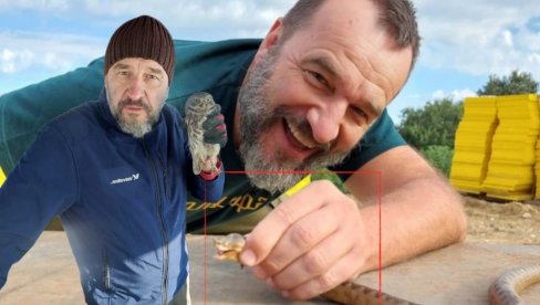 DRŽI ZMIJU U RUCI: Nenad Jezdić pokazao imanje u selu kod Valjeva (FOTO)