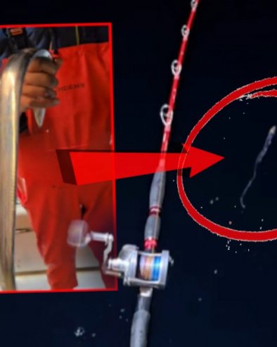 RIBARI U ŠOKU: Šta je OVO?! Ulovili čudnog morskog STVORA u Jadranu (VIDEO)