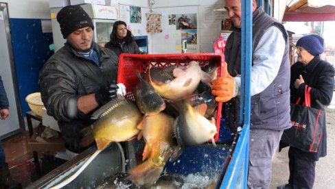 РИБА СКУПА, А РИБАРСТВО НА НИЗБРДИЦИ: Површине под рибњацима драстично смањене у последње три деценије