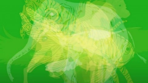 Životinja koju si prvo ugledao određuje tip tvoje LIČNOSTI