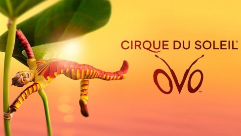 NOVOGODIŠNJA ČAROLIJA UZ CIRQUE DU SOLEIL: 20 odsto popusta na predstavu „OVO“