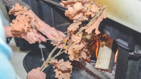KADA SE UNOSI BADNJAK U KUĆU I GDE TREBA DA STOJI: Veruje se da tako donosi sreću i blagostanje
