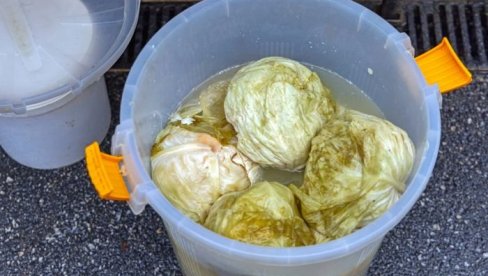 DA LI KISELI KUPUS MOŽE DA STOJI NA TERASI KADA JE NAPOLJU MINUS: Stručnjaci upozoravaju na grešku koju mnogi prave