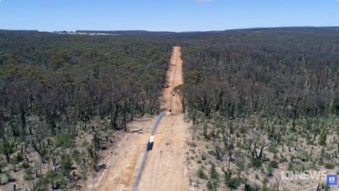 OGRADA SPASILA UGROŽENE VRSTE ZA 90 ODSTO: Australijski biolozi šokirani rezultatima (VIDEO)