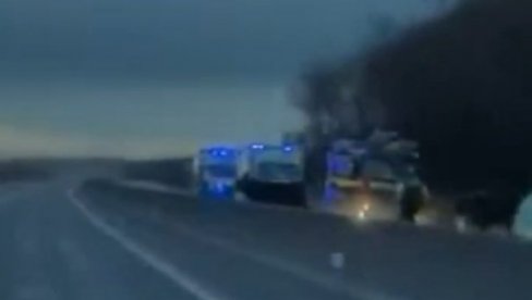 КРАВА ПРЕСКОЧИЛА ОГРАДУ И ИЗЛЕТЕЛА ПРЕД АУТОМОБИЛ: Страва и ужас на ауто-путу - камера забележила хорор! (ВИДЕО)