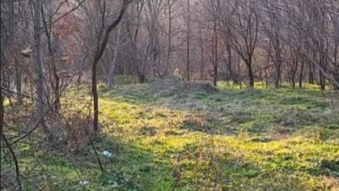 ПРОДАЈЕ СЕ ИМАЊЕ У ШУМАДИЈИ: Цена 4.000 евра, може и на четири месечне рате - има само једну ману