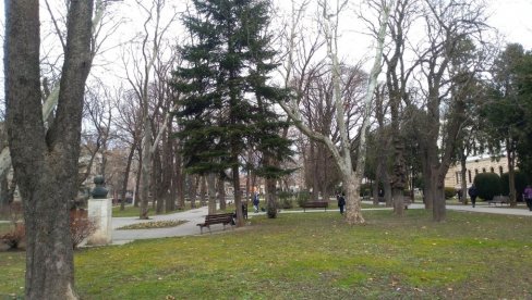 POŽAREVLJANI IZABRALI IZVOĐAČE ZA OBNOVU ZELENE OAZE U CENTRU GRADA   Oživljavaju park i duh Francuske