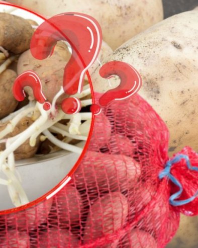 SPREČAVA KLIJANJE: Ovo je NAJBOLJI način za čuvanje krompira