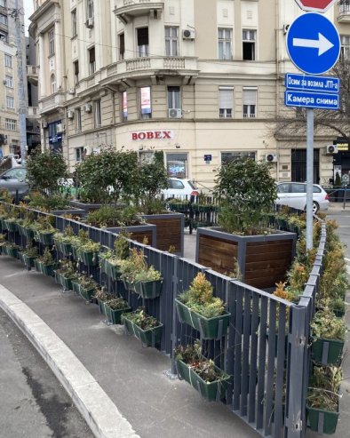 DEKORACIJI NIJE MESTO NASRED PUTA:  Žardinjere kod Zelenog venca smanjuju preglednost u saobraćaju