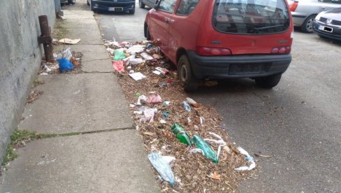 POSLEDICE KOŠAVE U POŽAREVCU: Jak vetar po ulicama raznosi smeće iz kontejnera