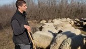 ИМА 21 ГОДИНУ И БАВИ СЕ НОМАДСКИМ ЧУВАЊЕМ ОВАЦА: Милош Шкорић живи у шатору на Фрушкој гори и финансира школовање кроз свој рад са овцама