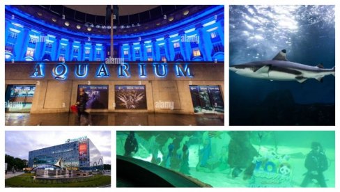 ZAŠTO BLOKADERI MRZE DECU SRBIJE? Svetske metropole mogu, a Beograd ne! Ovo su veliki gradovi širom sveta koji imaju akvarijume (FOTO)