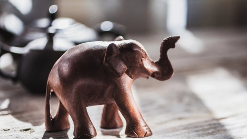 FIGURA SLONA ZA SREĆU U KUĆI: Gde i kako treba da stoji da bi dobeo blagostanje