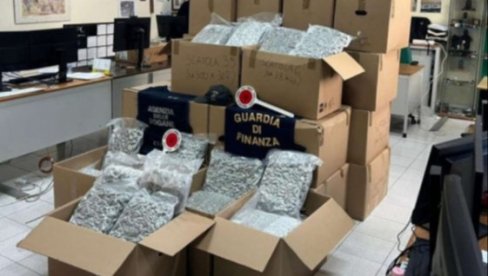 НАРКОДИЛЕРИ НАМАЗАЛИ СЕНФОМ ДРОГУ ДА ПРЕВАРЕ ПСЕ! Заплењено 350 килограма дроге у Италији