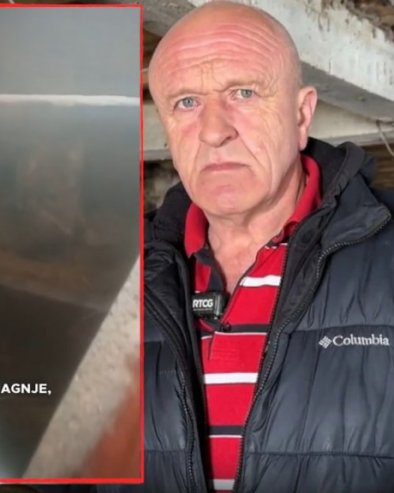 Ja sam zatekao vuka u štali, ušuškanog pored teladi! Evo ŠTA se desilo (VIDEO)