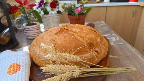 RECEPT ZA DOMAĆU POGAČU: Kako do zlatne korice, a vazdušastog testa? (VIDEO)