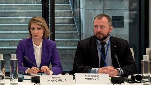 БИЉАНА ПАНТИЋ ПИЉА У САВЕТУ ЕВРОПЕ: Отворили сте Пандорину кутију признањем тзв. Косова
