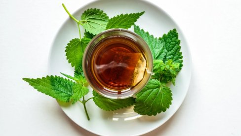 ВРЕМЕ ЈЕ ЗА ДЕТОКСИКАЦИЈУ: Искористите младу коприву - Чисти крв, подстиче рад јетре и бубрега