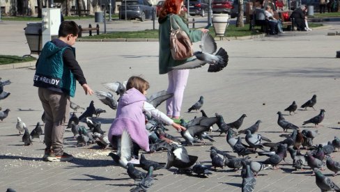 ПРОХЛАДАН ПРОЛЕЋНИ ДАН: Временска прогноза за четвртак, 19. март