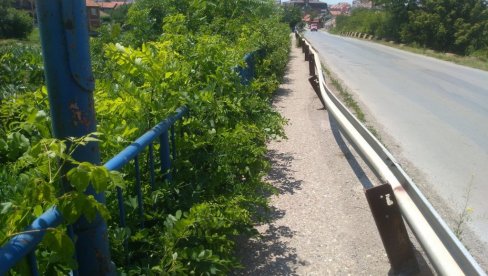 ТРАЖЕ ИЗВОЂАЧА: За одржавање јавних површина у Пожаревцу 10 милиона