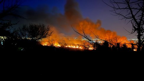 ВЕЛИКИ ПОЖАР У РИТУ ИЗМЕЂУ БЕОЧИНА И РАКОВЦА: Куће нису угрожене (ФОТО)