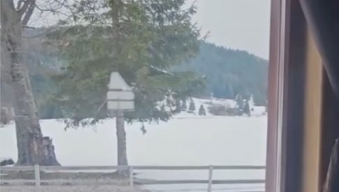 PRIZORI KAO IZ BAJKE: Sneg veje na prvi dan proleća (VIDEO)
